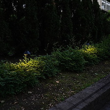 Design-dclairage-de-jardin-Lorraine-QC 1